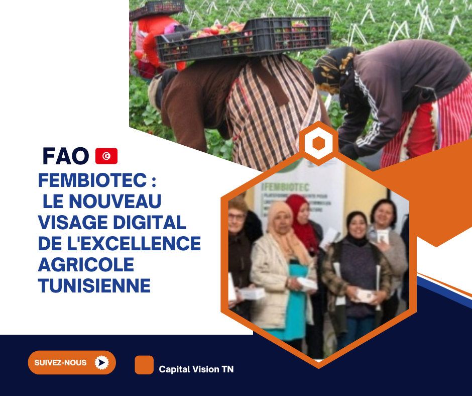 capital vision tn 20251227 081914 0000