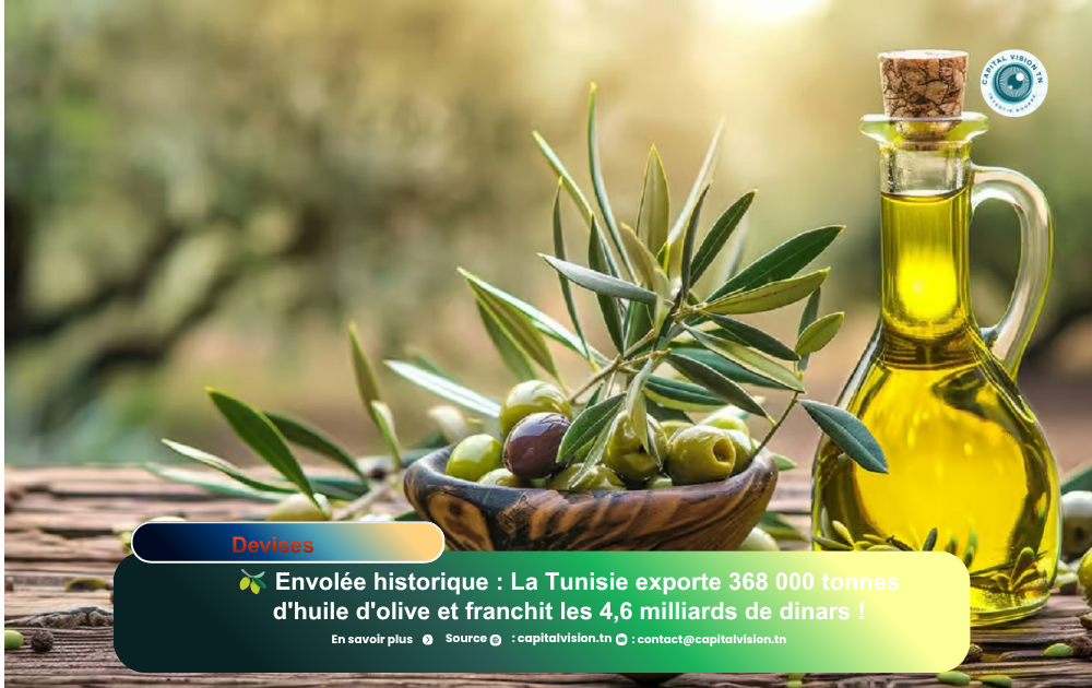 Exportations d&rsquo;huile d&rsquo;olive en Tunisie : Bond record des volumes en 2026 | Capital Vision